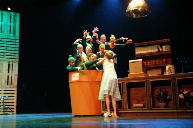 litlleshopofhorrors_theaterplan_2009_eindhoven479.jpg